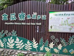 精選行程-野菜蛙鳴夜旅行
